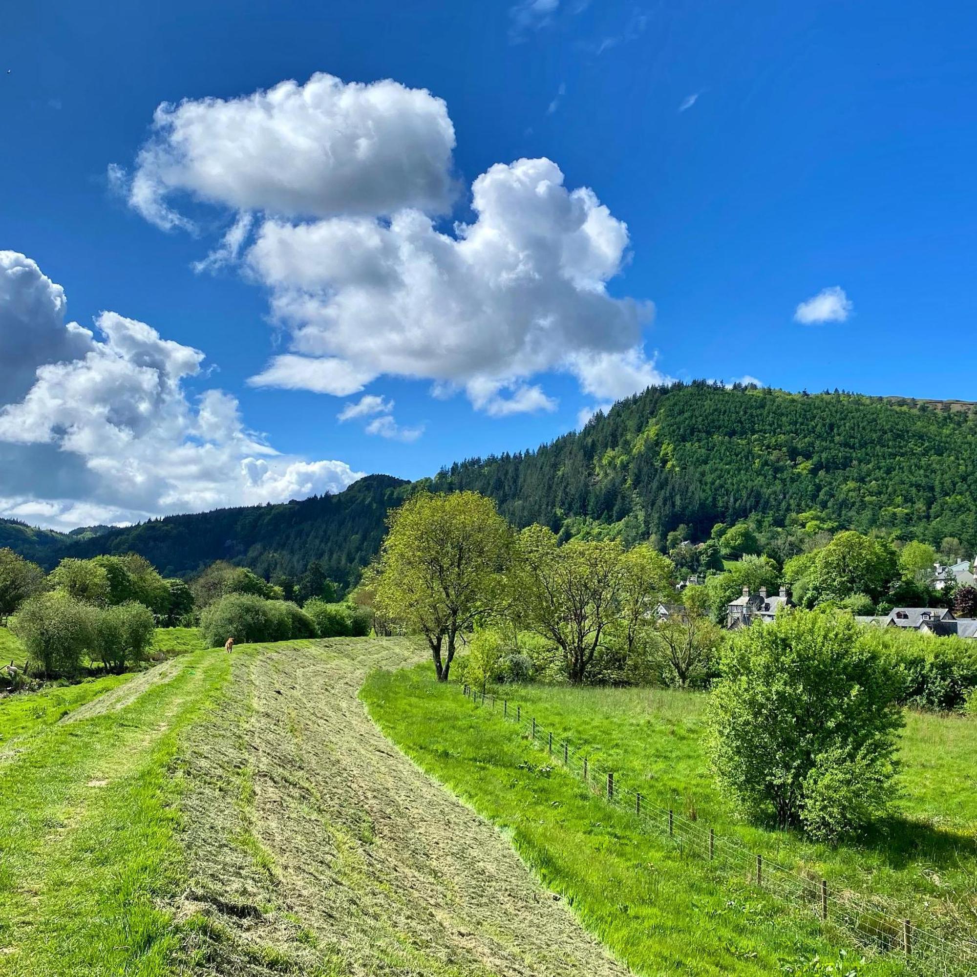 Crafnant House - Bed & Breakfast Trefriw Exteriér fotografie